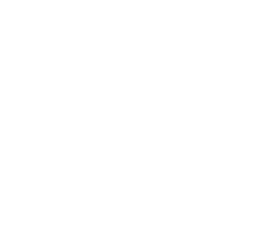 customer-centricity